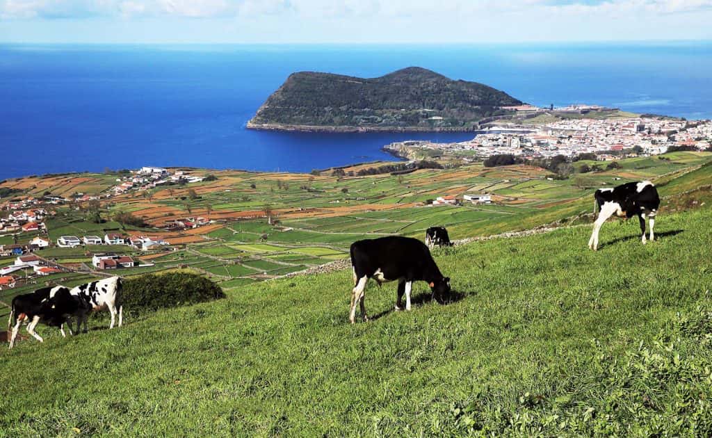 Terceira - Azores