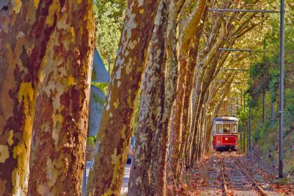Sintra Tram - Portugal